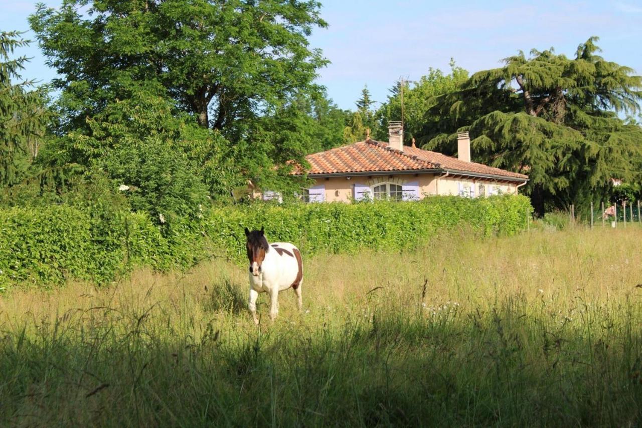 Gite De La Meronne Vindelle Buitenkant foto